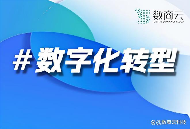 企业数字化转型：全面解析数商云作为数字化转型服务商的卓越价值