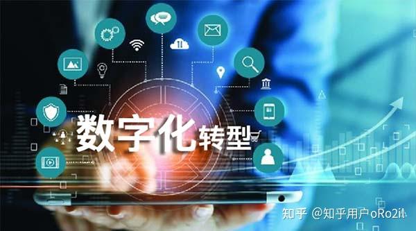 武商集团：推进数字化转型与自营业务拓展